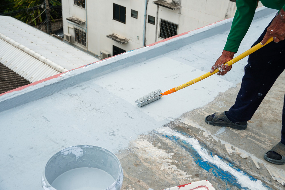 Roof Painting