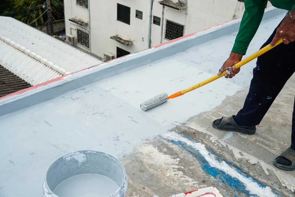 Roof Painting