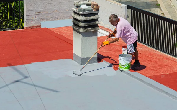  Roof Painting Project